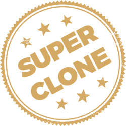 Banner Super Clone