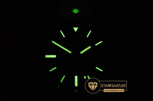 BSW0366 – Avenger BlackBird 44mm DLCTINY Black GF V3 A2824 modelleri