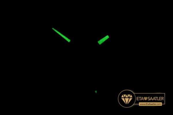 FM151 – Vanguard Mens V45 Diams SSLERU Blue Diam ABF Asia 2824 modelleri